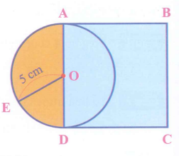 Quan sát hình vẽ và điền vào chỗ trống cho thích hợp: (1 điểm)     - Hình tròn tâm O có các bán kính là: ...... (ảnh 1)