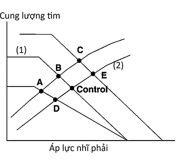 Biểu đồ bên thể hiện cho các đường cong chức năng tim (tâm thất) và chức năng tĩnh mạch. Đường cong số (1) thể hiện cho hồi lưu tĩnh mạch (dòng máu chảy từ mạng lưới tĩnh mạch hệ thống về tim phải) và đường cong số (2) thể hiện cho cung lượng tim. (ảnh 1)