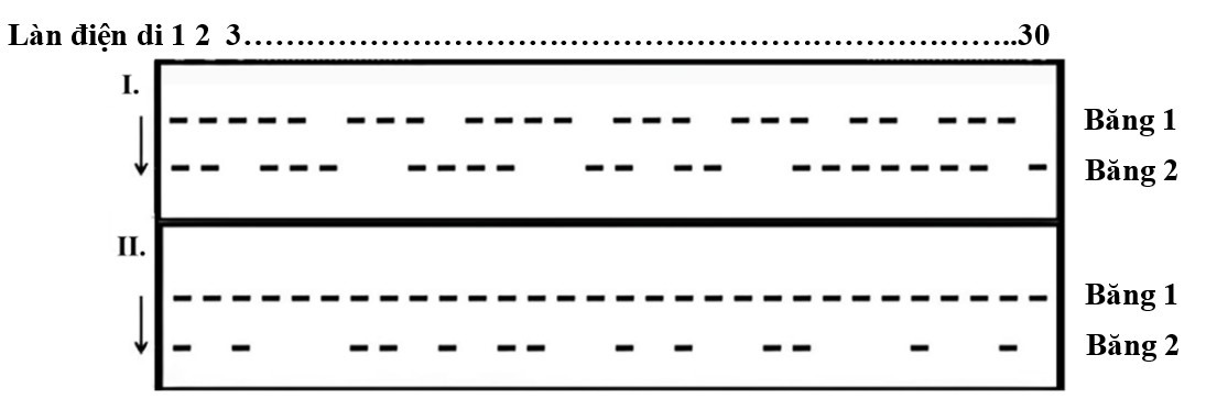 Gregor Mendel đã mô tả sự di truyền của hình dạng hạt đậu trơn và nhăn. Ông chỉ ra rằng kiểu hình trơn (R) là trội hoàn toàn so với kiểu hình nhăn (r).  (ảnh 1)