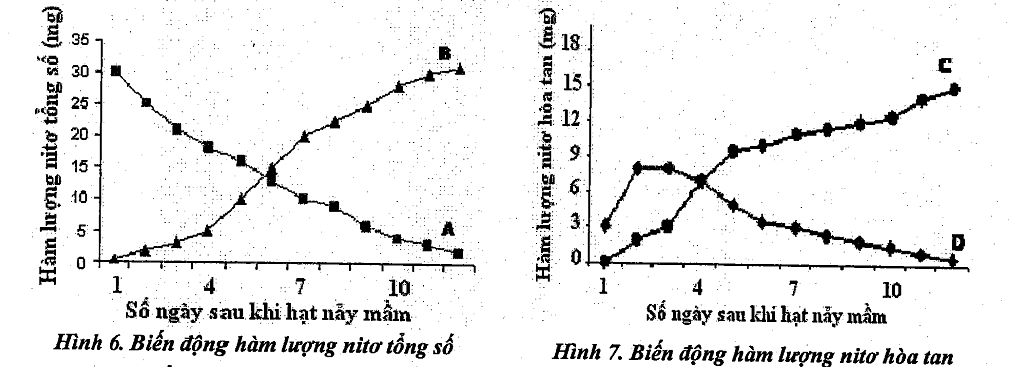 Theo dõi sự nảy mầm của hạt đậu tương trong một thời gian, người ta thấy sự biến động hàm lượng nitơ tổng số nitơ hòa tan trong lá mầm và các phần khác của cây mầm được thể hiện ở Hình 7.1 và Hình 7.2 dưới đây. (ảnh 1)