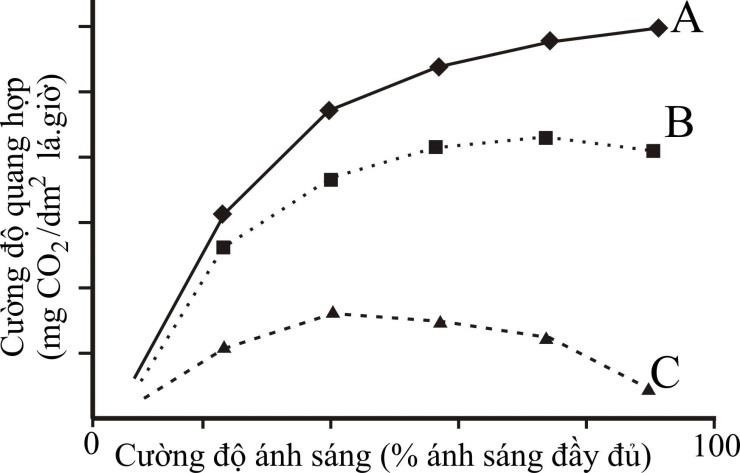 Một nhà khoa học chọn 3 loài cây thuộc 3 nhóm thực vật: Cây C3 ưa sáng, cây C3 ưa bóng, cây C4 và tiến hành làm thí nghiệm như sau: (ảnh 1)