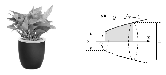 Một bác thợ gốm làm một cái chậu trồng c (ảnh 1)