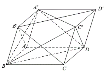Đ&aacute;p &aacute;n đ&uacute;ng l&agrave;: B (ảnh 1)
