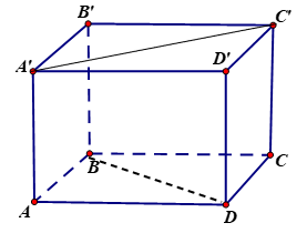 Đ&aacute;p &aacute;n đ&uacute;ng l&agrave;: A (ảnh 1)