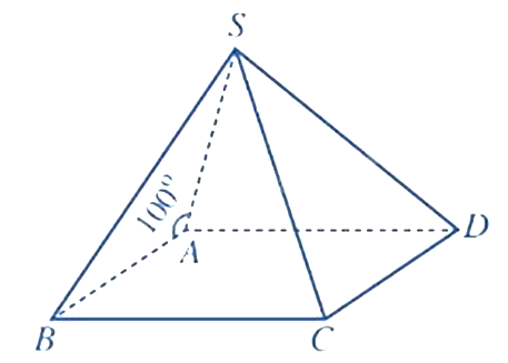 Đ&aacute;p &aacute;n đ&uacute;ng l&agrave;: A (ảnh 1)