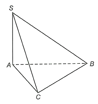 Đ&aacute;p &aacute;n đ&uacute;ng l&agrave;: C (ảnh 1)