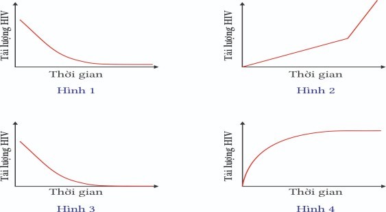 Cho biết loại thuốc AZT ức chế quá trình phiên mã ngược của virus HIV, hình nào mô tả đúng tải lượng HIV của bệnh nhân được điều trị bằng thuốc AZT trong thời gian 2 năm đầu phát hiện bệnh? (ảnh 1)