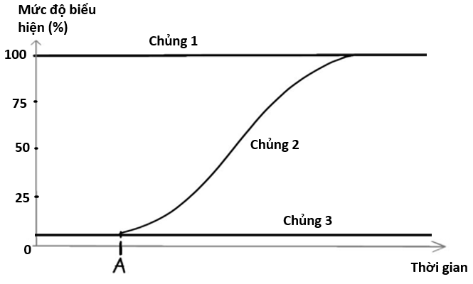 Để xác định đột biến xảy ra ở vị trí nào trong operon lac ở 3 chủng vi khuẩn E.coli, người ta đánh giá mức độ biểu hiện của gene lacZ ở 3 chủng đột biến  (ảnh 1)