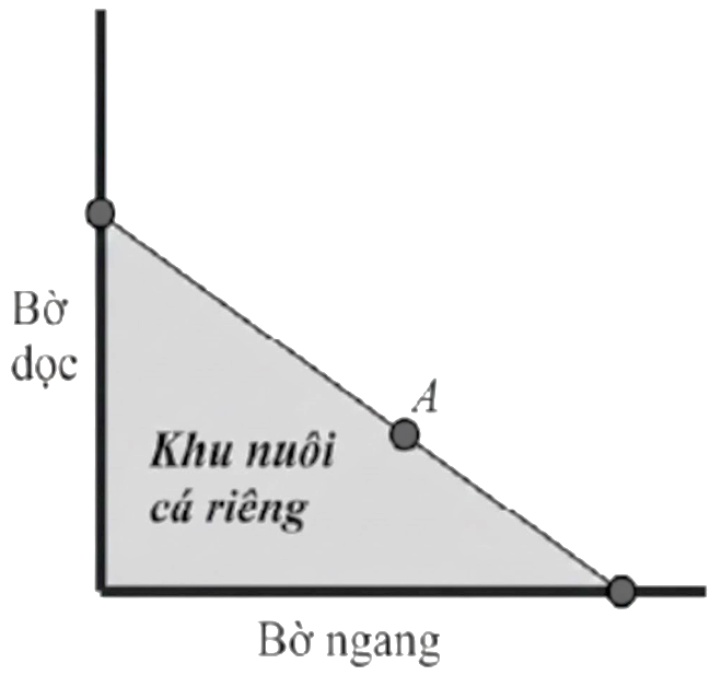 Người ta giăng lưới để nuôi một loại cá trên một góc hồ. Biết rằng lưới được giăng theo một đường thẳng từ một vị trí trên bờ ngang đến một vị trí trên bờ dọc và phải đi qua một cái cọc đã cắm sẵn ở vị trí \[A\]. (ảnh 1)