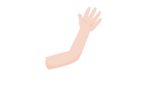 Look, read and put a tick () or a cross (×) . There is one example. (ảnh 1)