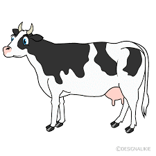 III. Look, read and put a tick (√) or a cross (X). What's that? It's a cow. (ảnh 1)