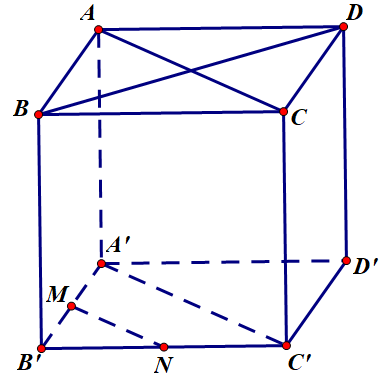 Chọn B Vì \(S.ABCD\)là hình chóp đều nê (ảnh 1)