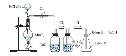 Hình vẽ dưới đây mô tả thí nghiệm điều chế và thu khí chlorine trong phòng thí nghiệm. Vai trò của bình chứa dung dịch NaCl và bông tẩm dung dịch NaOH lần lượt là? (ảnh 1)