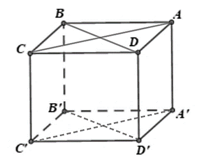 Đáp án đúng là: D (ảnh 1)