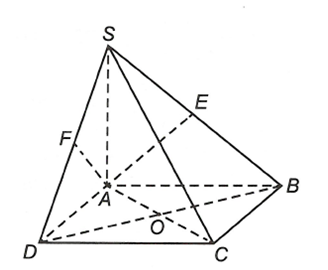 Đ&aacute;p &aacute;n đ&uacute;ng l&agrave;: B (ảnh 1)