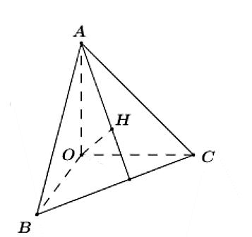 Đ&aacute;p &aacute;n đ&uacute;ng l&agrave;: C (ảnh 1)