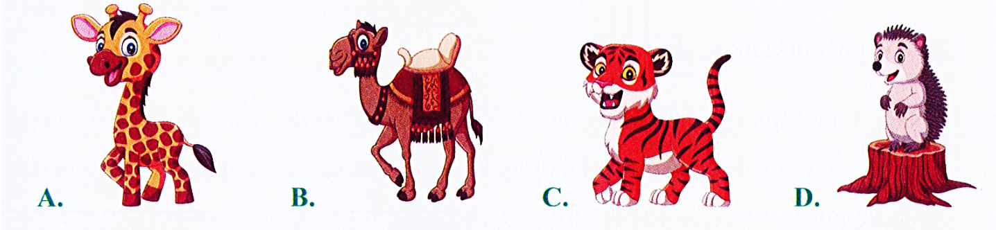 Trong hình dưới đây, con vật thấp nhất là: (ảnh 1)