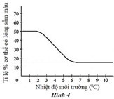 Loài mèo Xiêm có lông ở tai, mũi, bàn chân và đuôi sẫm màu hơn so với các vùng khác trên cơ thể. (ảnh 1)