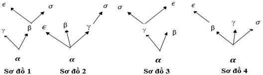 Ở một loài động vật, có một gene được tìm thấy với 5 allele khác nhau. Đoạn trình tự quan tâm của các allele này được mô tả như hình bên, trong đó vị trí gạch chân là vị trí có sự khác biệt với phiên bản gốc (allele 𝛼). (ảnh 2)
