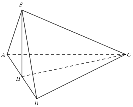 Cho h&igrave;nh ch&oacute;p \[S.ABC\] c&oacute; đ&aacute;y \[ABC\] l&agrave; (ảnh 1)