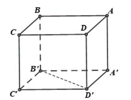 Đáp án đúng là: D (ảnh 1)