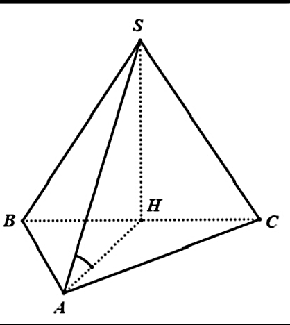 Đ&aacute;p &aacute;n đ&uacute;ng l&agrave;: D (ảnh 1)