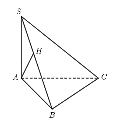 Cho h&igrave;nh ch&oacute;p \[S.ABC\] c&oacute; đ&aacute;y l&agrave; tam g (ảnh 1)