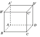 Cho hình hộp \(ABCD.A'B'C'D'\) (minh họa như hình vẽ).   Khẳng định nào sau đây đúng? (ảnh 1)