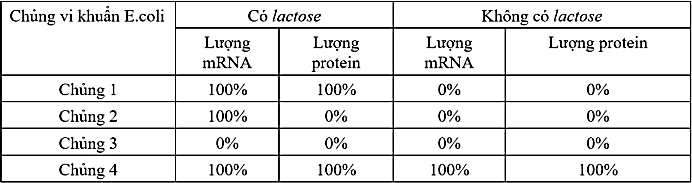 Bảng 1 mô tả hàm lượng mRNA và protein tương đối của gene Z thuộc operon Lac ở các chủng vi khuẩn E.coli trong môi trường có hoặc không có Lactose. Biết rằng chủng 1 là chủng bình thường, các chủng 2, 3, 4 là các chủng đột biến phát sinh từ chủng 1 (ảnh 1)