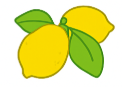3. Look at the _________. A. lemons B. nuts C. leaf (ảnh 1)