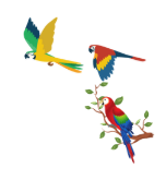 I. Listen and choose A, B or C. (2 points) (ảnh 2)