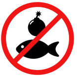 What does this sign mean? (ảnh 1)