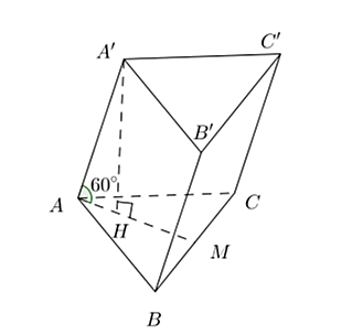 Đ&aacute;p &aacute;n đ&uacute;ng l&agrave;: D (ảnh 1)