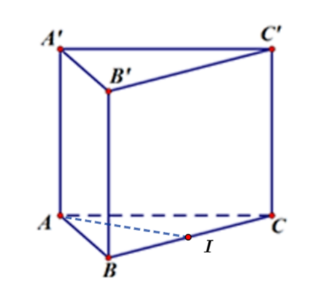 Đ&aacute;p &aacute;n đ&uacute;ng l&agrave;: D (ảnh 1)