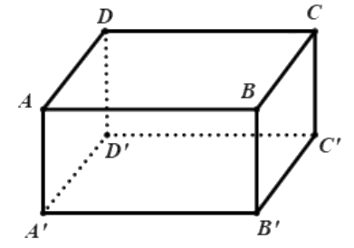 Đáp án đúng là: B (ảnh 1)