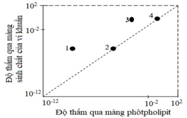 Màng sinh học (màng sinh chất) có tính thấm khác nhau đối với các chất đi vào hoặc ra khỏi tế bào.  Tuy nhiên, các màng nhân tạo được hình thành từ các phân tử phospholipid (gọi là màng lipid) có thể có tính thấm khác với màng sinh học. (ảnh 1)