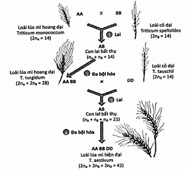 Dựa vào hình 10, cho biết mỗi nhận định sau đây đúng hay sai? (ảnh 1)