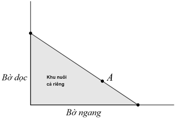 Người ta giăng lưới để nuôi riêng một loại cá trên một góc hồ. Biết rằng lưới được giăng theo một đường thẳng từ một vị trí trên bờ ngang đến một vị trí trên bờ dọc và phải đi qua một cái cọc đã cắm sẵn ở vị trí A. (ảnh 1)