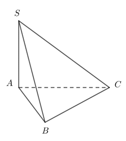 Đ&aacute;p &aacute;n đ&uacute;ng l&agrave;: A (ảnh 1)