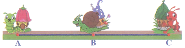 Nhà của Sâu, Ốc Sên, Kiến nằm trên ba điểm A, B, C (như bức tranh). Đoạn thẳng AB dài 18 cm và B là trung điểm của đoạn thẳng AC. Vậy khoảng cách từ nhà Kiến đến nhà Sâu là: (0,5 điểm)   A. 9cm 	B. 26cm 	C. 24cm 	D. 36cm (ảnh 1)