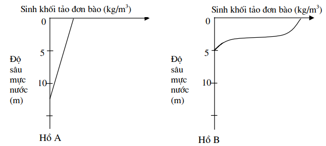 Hai hồ A và B có diện tích mặt nước và độ sâu bằng nhau, nhưng sinh khối tảo (Algae) lại phân bố khác nhau như trong đồ thị hình 11. Mỗi nhận định sau đây đúng hay sai? (ảnh 1)