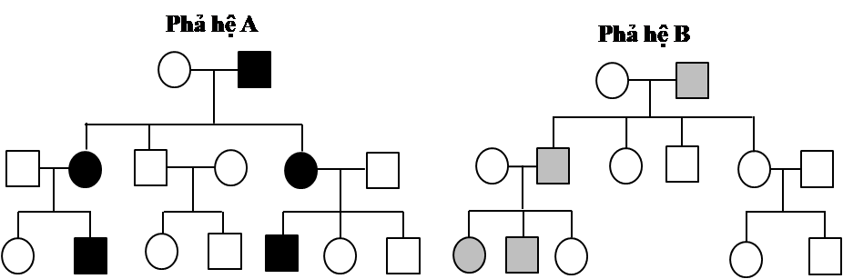 Một nghiên cứu theo dõi sự di truyền của 2 bệnh đơn gene ở người. Dựa trên số liệu đã lập được phả hệ của 2 gia đình  (ảnh 1)