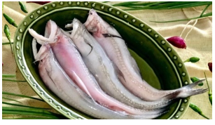 Chọn từ viết đúng chính tả   A. ká choai  B. cá khoai C. cá khoay (ảnh 1)