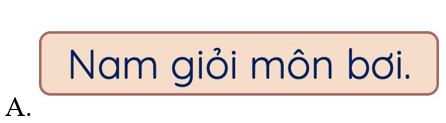 Đọc văn bản “Chuyện của Nam” (SGK – trang 134) và trả lời câu hỏi sau: Nam giỏi môn gì? (ảnh 2)