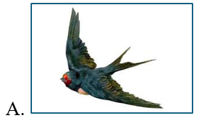 Đọc văn bản “Buổi học cuối năm” (SGK – 143) và trả lời câu hỏi sau:	 Con vật nào không được nhắc đến trong bài đọc? (ảnh 2)