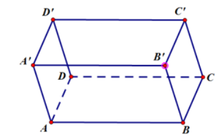 Cho hình hộpABCD.A'B'C'D'. Mặt phẳng {A'B'C'D'} song song với mặt phẳng nào trong các mặt phẳng sau đây (ảnh 1)