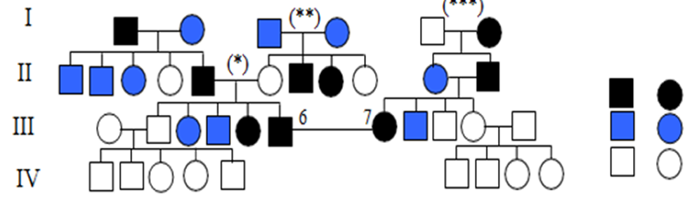 Dưới đây là sơ đồ phả hệ về việc nghiên cứu sự di truyền màu sắc lông chuột: (ảnh 1)