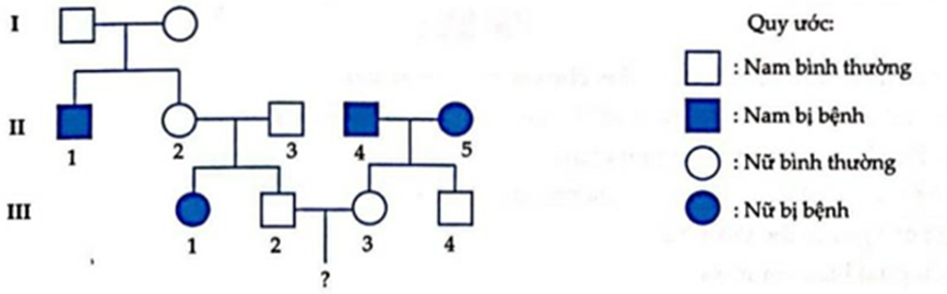 Ở người xét một bệnh di truyền do 2 đột biến lặn thuộc 2 locut nằm trên 2 cặp NST thường khác nhau quy định. Cho phả hệ sau: (ảnh 1)