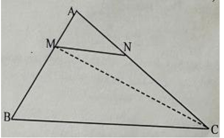 Cho tam giác ABC có diện tích 94,5 cm2 (Như hình vẽ) (ảnh 1)