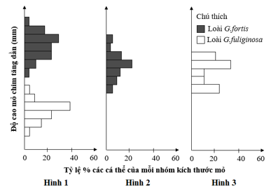A graph of different sizes and colors

AI-generated content may be incorrect.